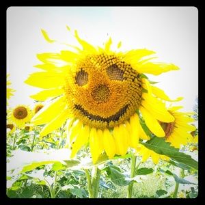 Meet your Posher, Belleza